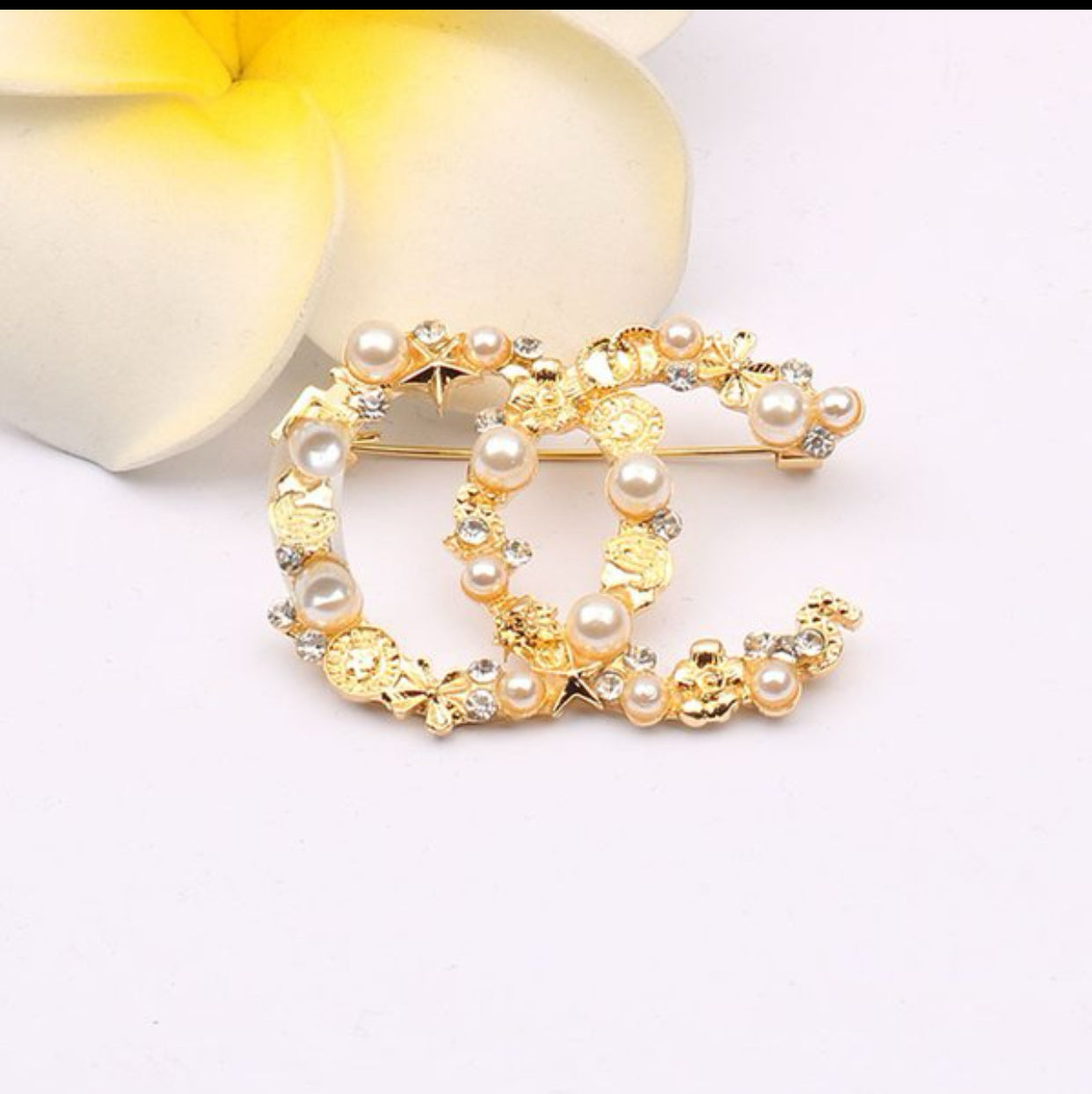 Elegant Fashion Designer Brooches