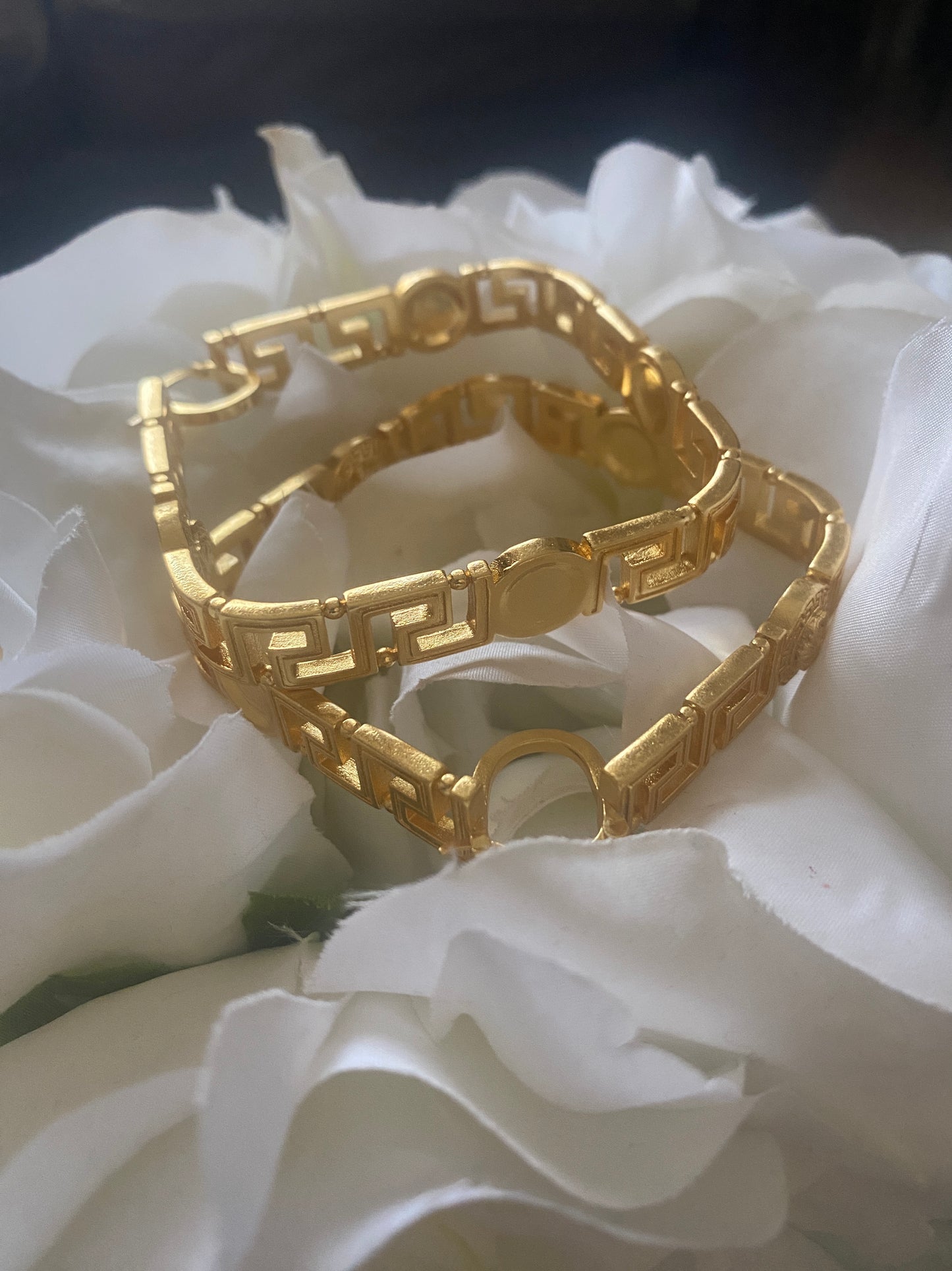 Luxury Fashion Hoop Earrings