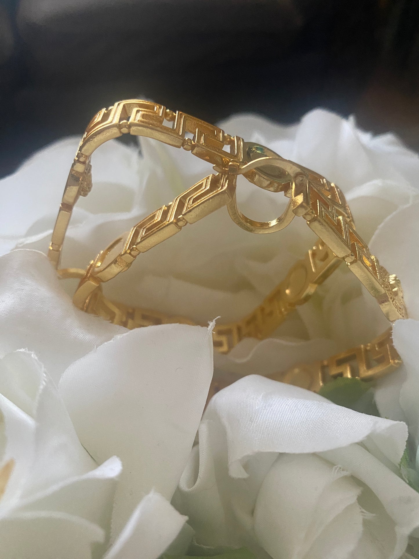 Luxury Fashion Hoop Earrings