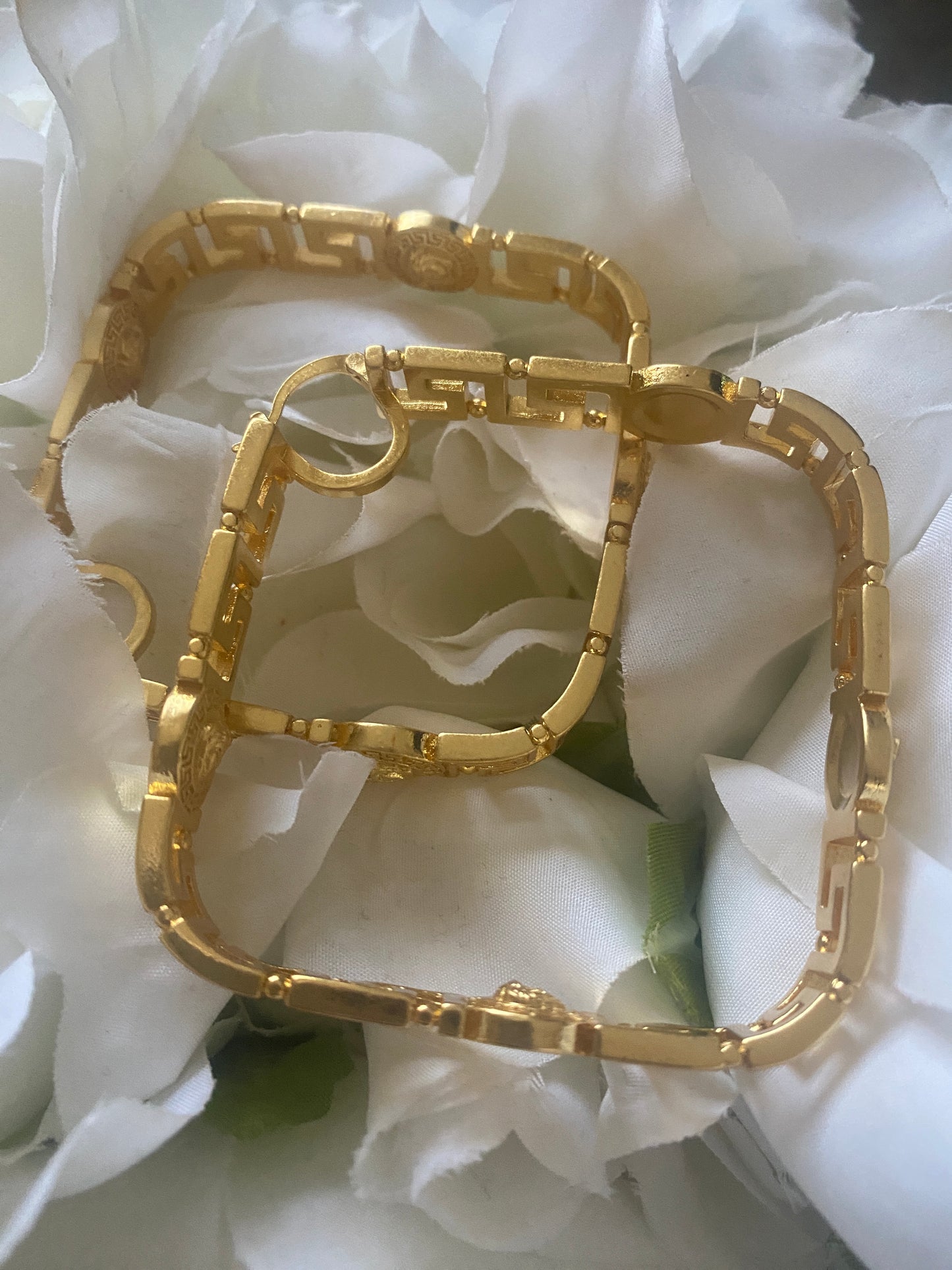 Luxury Fashion Hoop Earrings